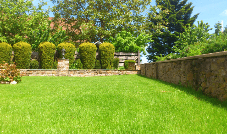 Lawn Maintenance